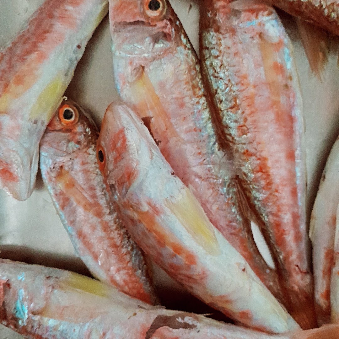 Il Calimero , cucina mediterranea · Foto 3